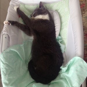 Meet your Posher, Ann